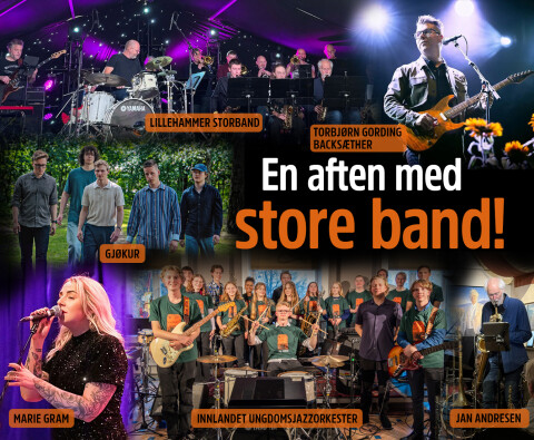 En aften med store band Bilde